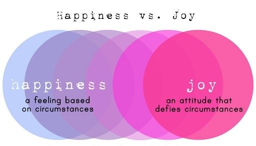 Joy vs Happiness  Mitchell Landon